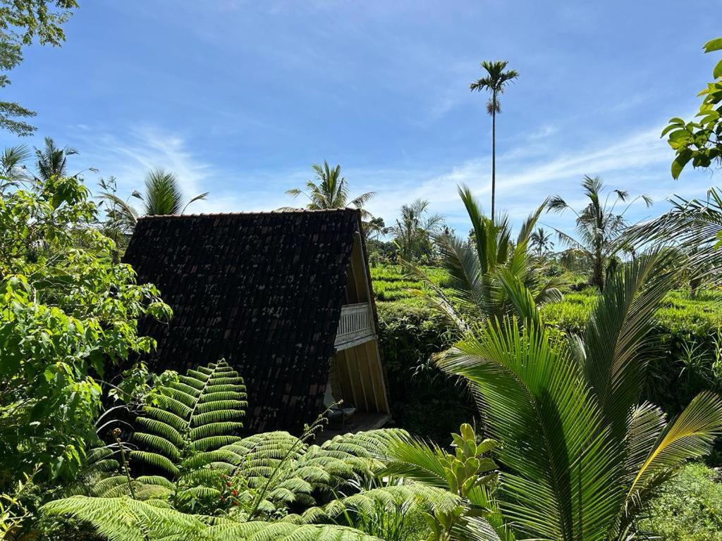 Jero Tumbuk Private Villa Selat Eksteriør bilde